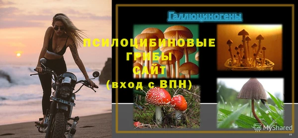 не бодяженный Белокуриха