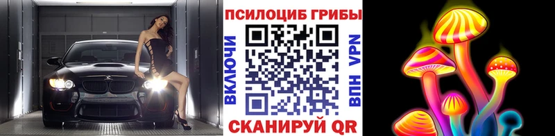 Псилоцибиновые грибы Psilocybe  Кувшиново 